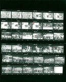 ROUND CUBA GERMANY RAUL VILCHES RENE HECHT LUTZ FILM PETER - Vintage Photograph