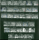 SIT WRITER GALINA TIAN BERRIA KUINDDAR DEKARZ HEIKE SOLVEIG BARTSCH DAVID - Vintage Photograph