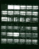 1982 VAUEK TOKEKEEFKA IJA IBA IIA SAFETY FILM KODAK - Vintage Photograph