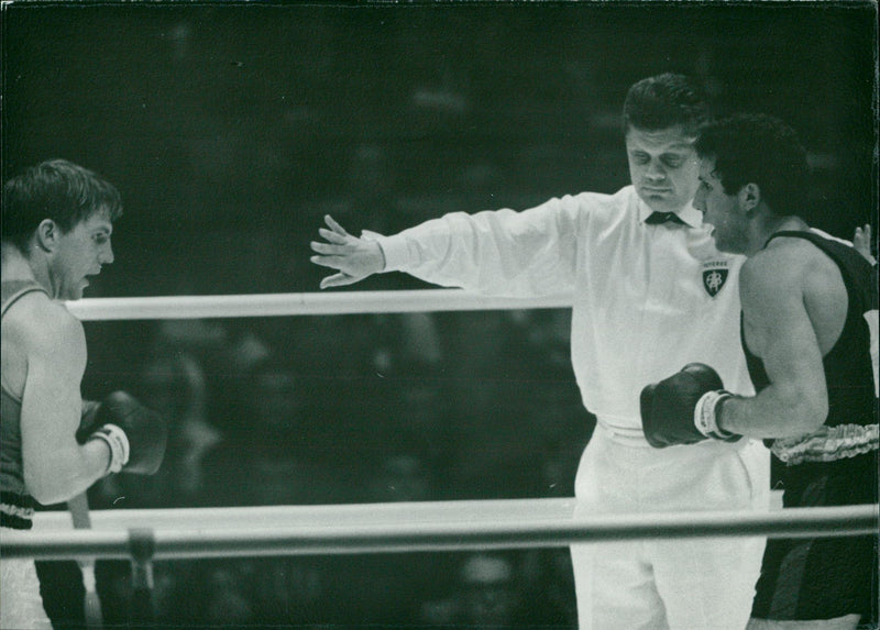 boxer - Vintage Photograph