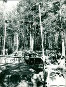 JOURNEY FRIENDSHIP UASSA AYLAUREAN BIYEON PAYUN TEAS LAZCILINU FOLDS FILM - Vintage Photograph