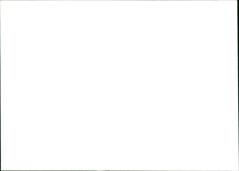 LAES RIED SCYFARTH CHENKSC AUHOFSTR BLOOD - Vintage Photograph