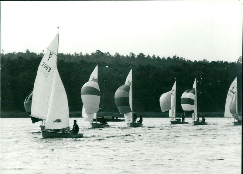 LAES RIED SCYFARTH CHENKSC AUHOFSTR BLOOD - Vintage Photograph