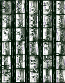 KODAK SAFETY FILM TSC BERLI LEIPZIG AUTOCLIMA ELNA CHLAG - Vintage Photograph