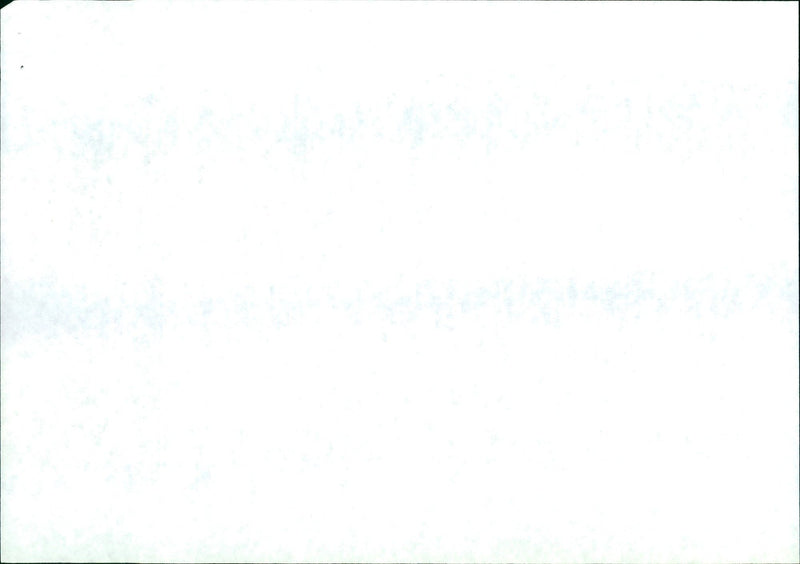 1955 - LESLIE EDIE IST CARLSON GRAHAM SANDRA

 FY2K ROSS NIELSEN, MOVIE - Vintage Photograph