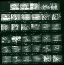 RISERHOODS LAVINIA AGACHE RUM ECATERINA APAESE SYLVIA RAU FILM - Vintage Photograph