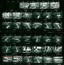 FUMANE RISTERSCHAFTEN LAS RISTERSCHAFT RISTERCHAFTLAS FILM - Vintage Photograph