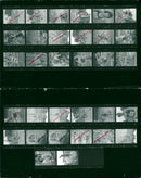 OVAL DRES DUCOOLER WHY EVENT GOLDEN OVER POGONOM CERROPHONE FILM PETER - Vintage Photograph