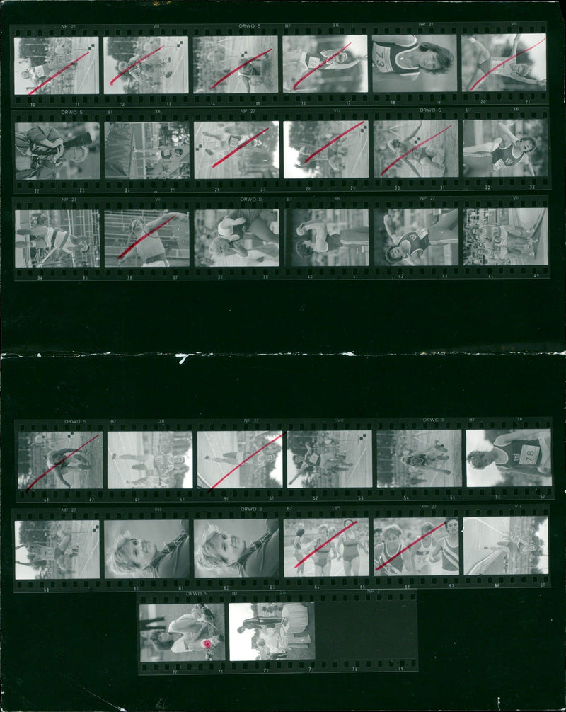 OVAL DRES DUCOOLER WHY EVENT GOLDEN OVER POGONOM CERROPHONE FILM PETER - Vintage Photograph