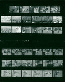 1987 NEUBA WRITERS KATRIN MATTH WRITER SVE - Vintage Photograph