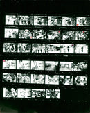 1982 ASTEIGLAUF NEUHAUS SCHMIEDEFELD RENNOSTIGLAUF FOI FILM NUMBER ASTEIGLAUFTHE - Vintage Photograph