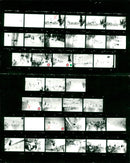 1980 SINGER GEDENIE FIIONALE EVENT SOMO SONNO ITALIAN FILM DIRECTED - Vintage Photograph