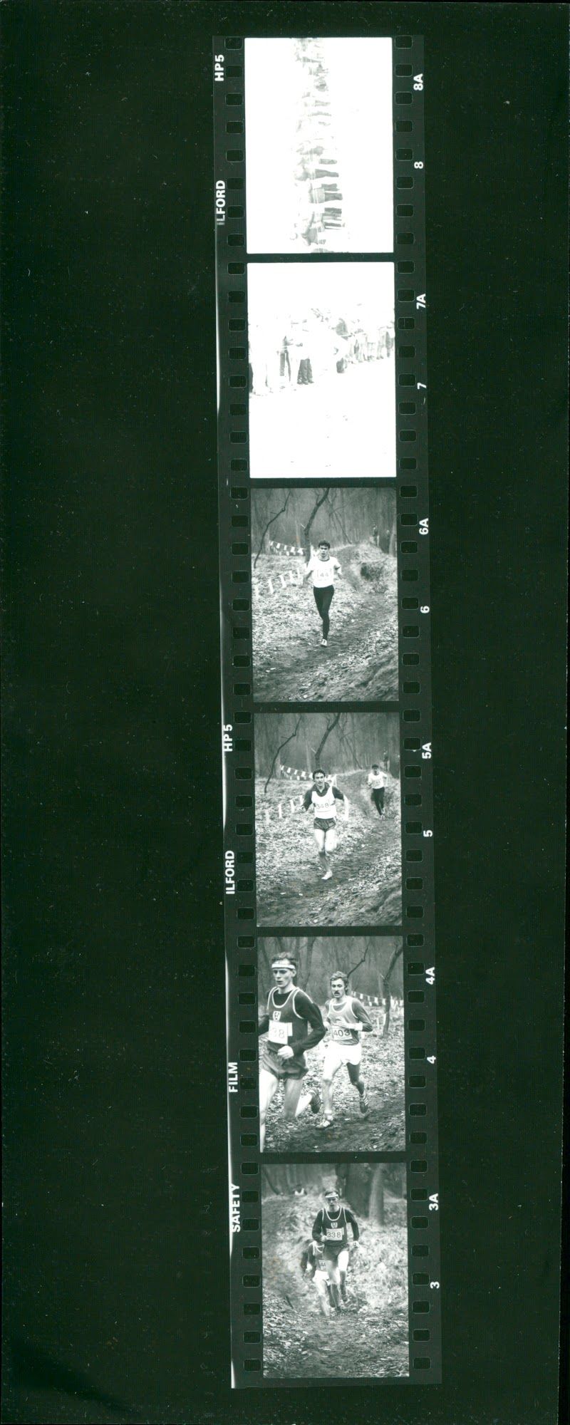 ANGERMUUD DDK CROSSMASTER SHEEPMEAT ILFORD SAFETY FILM ILFORDSWER ADD - Vintage Photograph
