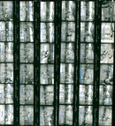 1975 WOMEN PERONEVAROS BUDAP TSC BRUCE APK IONSULTS FRANDIFUL TREND SITUATIO FILM - Vintage Photograph