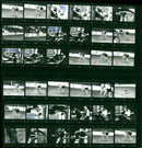 MASTER SHEEP THOMS PEACE PERDADE HAIR HAICHOU DREAS LANSKA HUICK FILM - Vintage Photograph