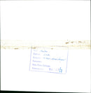 1982 CUP WROCCAL DIBISERAR PEOPLE FILM NUMBER ACC WALES - Vintage Photograph