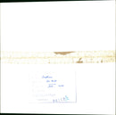 KODAK SAFETY FILM MOST POPULAR FILMS ALL WALES - Vintage Photograph