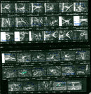 SPARK LEADING PROVIDER INTERNET AND MOBILE SERVICES FILM WALES - Vintage Photograph