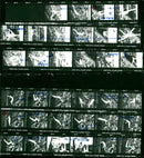 DISTRIN FILM KODAK SAFETY FILS ODAK - Vintage Photograph