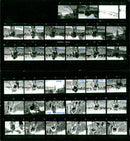 ROUND TRIP FILM DIRECTED RELEASED - Vintage Photograph