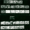 1981 ESTERSCHAFTEN KODAK SAFETY FILM TRI PAN ROMEO SOVIET - Vintage Photograph