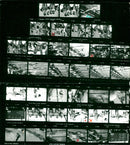 1981 AROUVER OBULLDODODOC GUGUDELEDEC STOLESCHWIMU SPLI FILM - Vintage Photograph