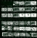 AROUVER OBULLDODODOC GUGUDELEDEC STOLE SCHWIMU UNITED FILM - Vintage Photograph