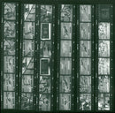 FRIENDSHIP POOMA BERNOLOTT JENS PEKE FEISER SUES CRE FILM - Vintage Photograph