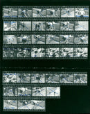 1983 WIVITERBAUM ONALER BUTUI DATE EVENT CONTINUE - Vintage Photograph