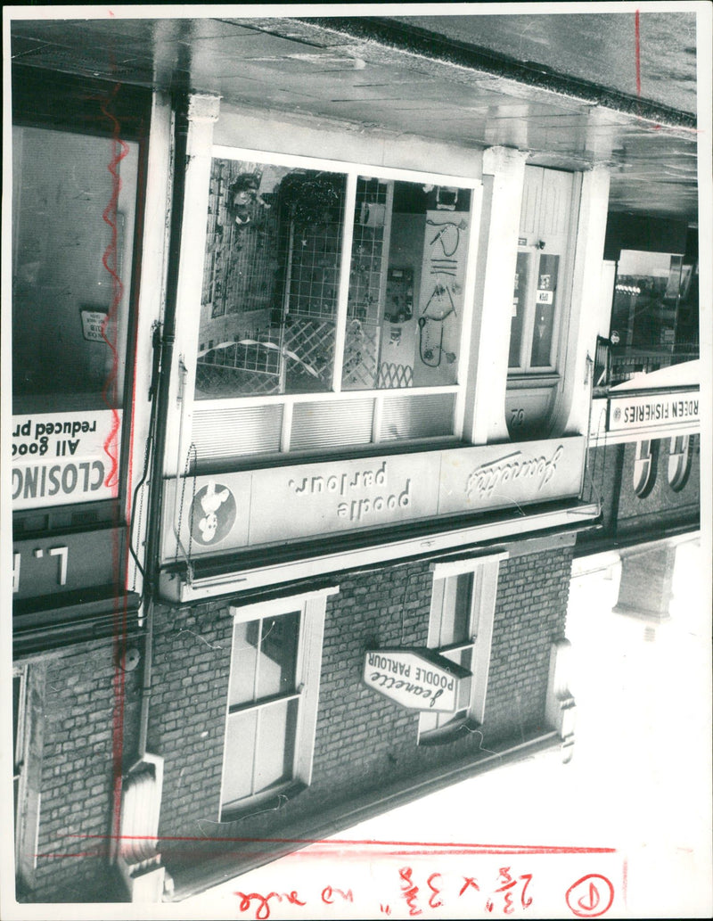 GREENAWAY BILL BLUE FILMS - POODLE FILE, DE - Vintage Photograph