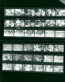 IMEANDERKAMPF OPENING NIGHT CONCERT HELD - Vintage Photograph