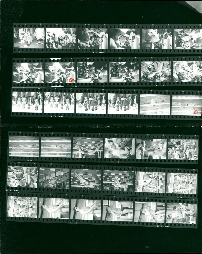 IMEANDERKAMPF OPENING NIGHT CONCERT HELD - Vintage Photograph