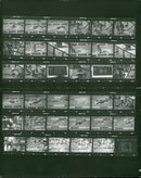 1970 HOBL HOUPSPUNART FILM SERIES FILMS BASED WIFE PETER - Vintage Photograph