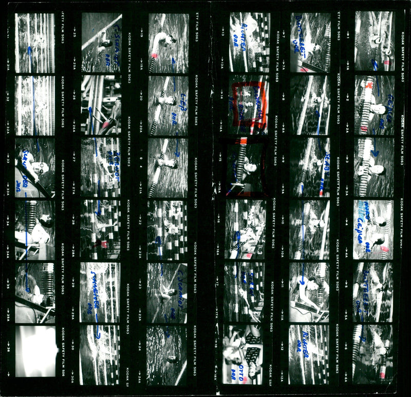 CHWIN GLUE RESISTANT FILM - Vintage Photograph