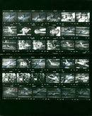 DECISION FIRALE FREESTYLE FOLLOWSS RAILWA ROTH FILM PETER - Vintage Photograph