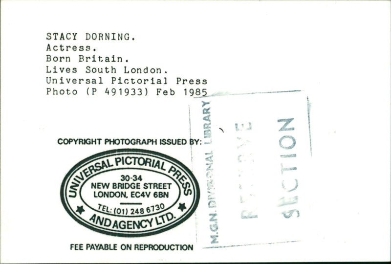 Stacy Dorning - Vintage Photograph