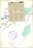 Don Bradman - Vintage Photograph