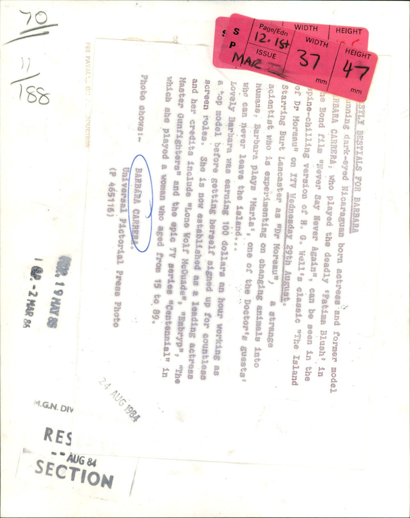 1984 - CARRERA BARBARA ACTRESS HEIGHT MARIA, MODEL, FILM - Vintage Photograph