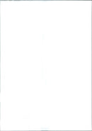 1955 - COLLINS PAULINE ACTRESS, JOAN, FILM - Vintage Photograph