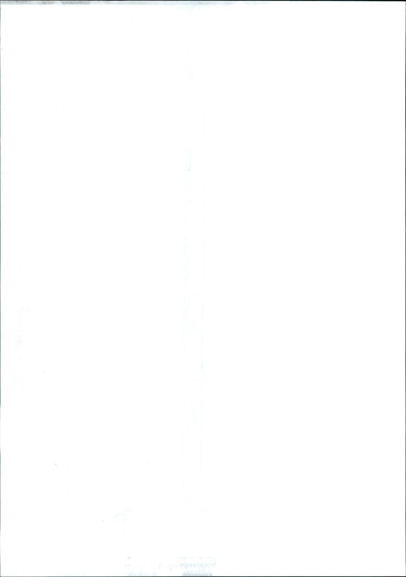 1955 - COLLINS PAULINE ACTRESS, JOAN, FILM - Vintage Photograph