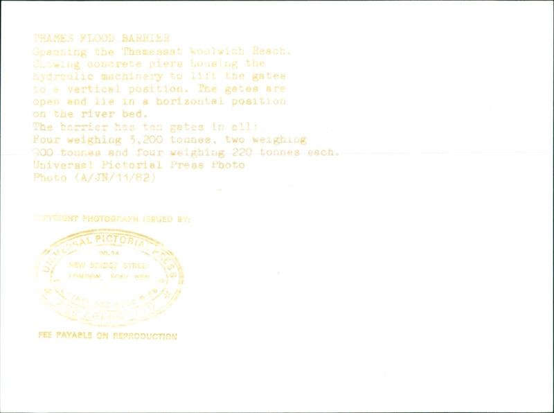 TEAMES BLOOD BARRIER - Vintage Photograph