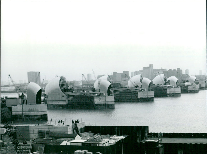 TEAMES BLOOD BARRIER - Vintage Photograph