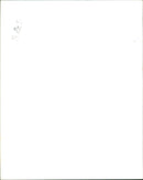 1985 - CURTIS JAMIE LEE ACTRESS BY BRIDGES JAMES ANNE JACK SALVO DE, JOHN, FILM - Vintage Photograph