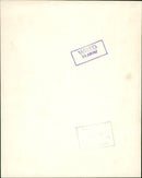 1967 - KENDALL SUZY JUN WIRED, MOVIE, FILM - Vintage Photograph