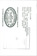 HILLWOOD AMANDA ACTRESS - WODD, LONDON, FILM - Vintage Photograph