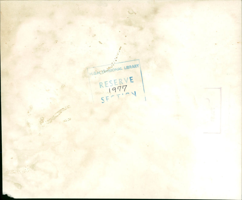 1977 - HEDREN TIPPI RESERVE NERVISIONAL LIBRARY, MOVIE, ACTRESS - Vintage Photograph