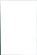 TAUTOV AUDREY - DAVIES ALAN, FRENCH, FILM, FIRST - Vintage Photograph