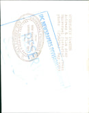 POWERS STEFACIE ACTRESS - STEPHANIE FILM, LONDON - Vintage Photograph