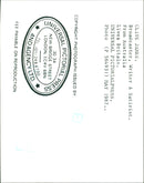 1987 - JAMES CLIVE BROADCASTER, LONDON, WRITER - Vintage Photograph