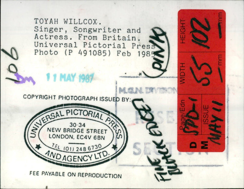 1985 - WILLCOX TOYAH ACTRESS SONGWRITER SINGER, LONDON - Vintage Photograph